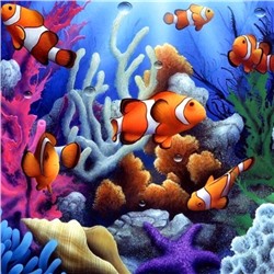 Алмазная мозаика картина стразами Рыбки - клоуны, 30х30 см