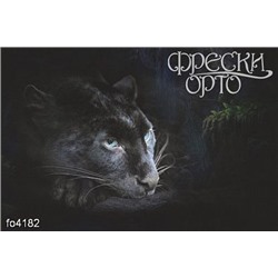 Фотофреска fo4182