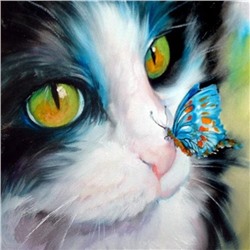 Алмазная мозаика картина стразами Кот с бабочкой на носу, 30х30 см