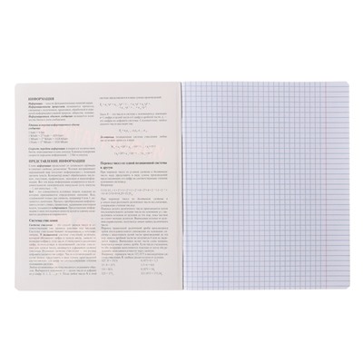 Тетрадь предметная "Пёс и Кот" 48 листов в клетку "Информатика", обложка мелованный картон, металлизированная краска, ВД-лак, блок офсет