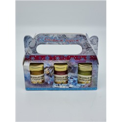 Подарочный набор № 169 мёд микс с курагой, брусникой, имбирем и лаймом «С Новым годом!»