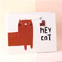 Подарочный пакет(M) "Kitty", hey cat face