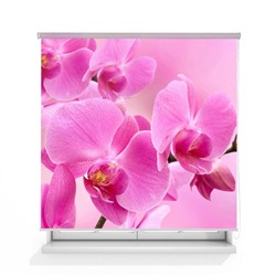 Рулонная штора ролло лен "Орхидея розовая"  (d-200892-gr)