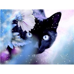 Алмазная мозаика картина стразами Чёрный кот, 30х40 см, Акция!