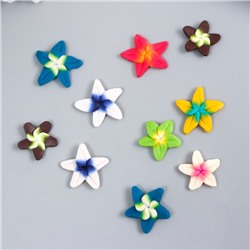 Декор для творчества PVC "Цветок лилия" набор 10 шт МИКС 0,4х1,8х1,8 см