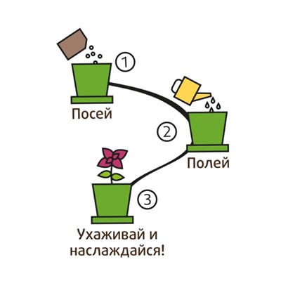 Горшок Базилик зеленый набор для выращивания