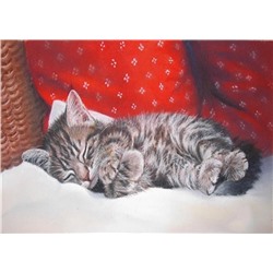 Алмазная мозаика картина стразами Спящий котёнок, 40х50 см