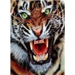 Алмазная мозаика картина стразами Оскал тигра, 30х40 см