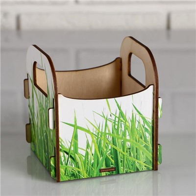 Кашпо деревянное 10.5×10×11 см подарочное Рокси Смит "От всего сердца! Трава", коробка