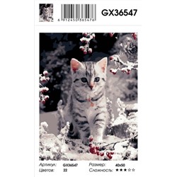 Картина по номерам на подрамнике GX36547