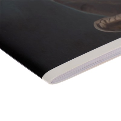 Альбом для рисования А4, 32 листа на скрепке "Динозавр", обложка мелованный картон, блок 100 г/м²
