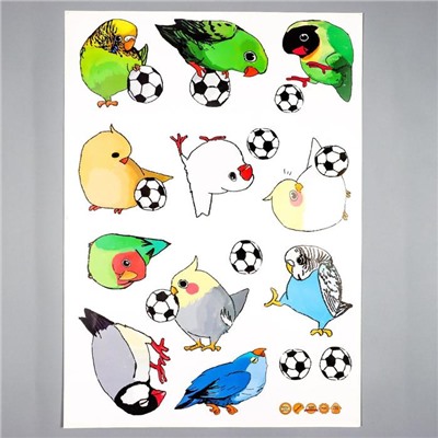 Наклейка пластик интерьерная цветная "Попугайчики и футбольный мяч" 50х70 см