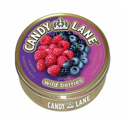 Фруктовые леденцы Лесные ягоды Candy Lane 200гр