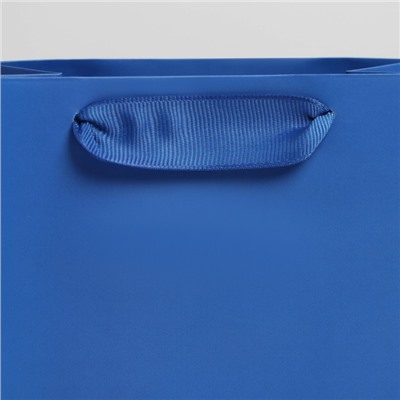 Пакет ламинированный «Синий», S 12 х 15 х 5.5 см