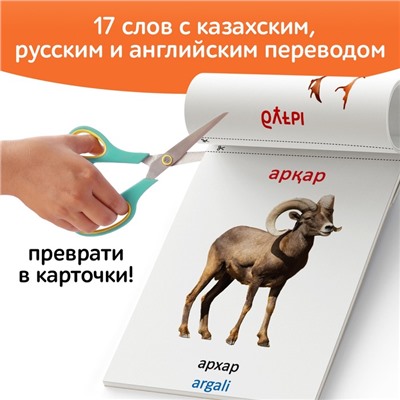 Книга по методике Г. Домана «Дикие животные», на казахском языке