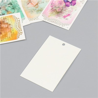 Бирка картон "Бабочки винтаж" набор 10 шт (5 видов) 4х6 см