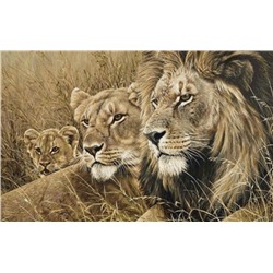 Алмазная мозаика картина стразами Семья львов, 30х40 см