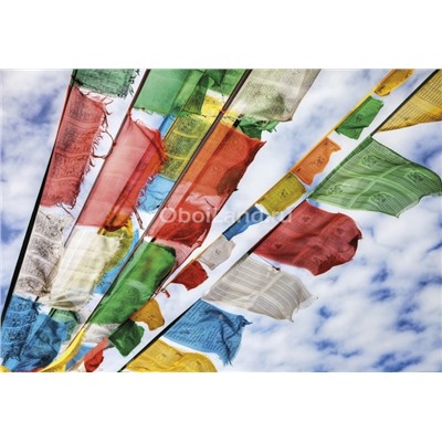 Фотообои Prayer Flags 1-606