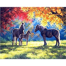 Алмазная мозаика картина стразами Лошади в осеннем парке, 40х50 см