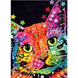 Алмазная мозаика картина стразами Разноцветный кот, 30х40 см