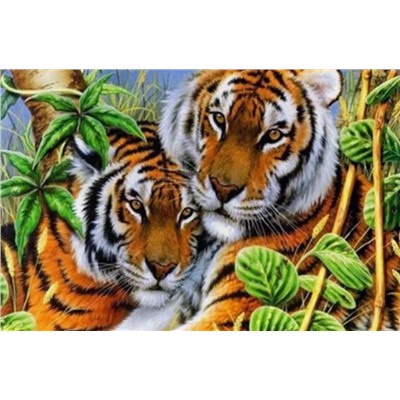 Алмазная мозаика картина стразами Два тигра, 30х40 см