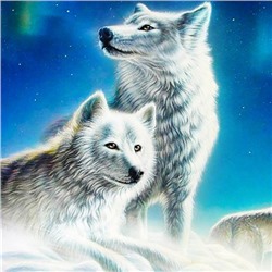 Алмазная мозаика картина стразами Белые волки, 30х30 см