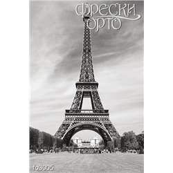 Фотофреска Эйфелева башня fo3005