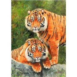 Алмазная мозаика картина стразами Два тигра, 30х40 см