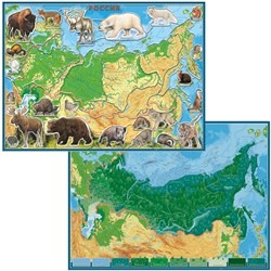 Географический пазл Животные и Природные Зоны РФ