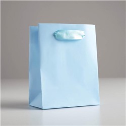 Пакет подарочный «Голубой», 11,5 × 14.5 × 6 см