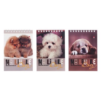 Блокнот А6, 40 листов на гребне "Собаки", обложка ламинированный картон, МИКС