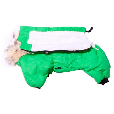 Комбинезон для собак Lion Nice-Style SLPK134 на девочку, цвет: зеленый