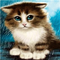 Алмазная мозаика картина стразами Котёнок под дождём, 30х30 см