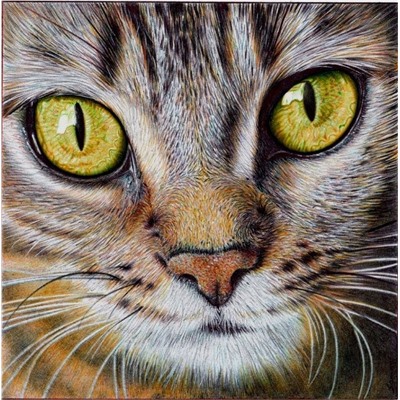 Алмазная мозаика картина стразами Кошка, 30х40 см