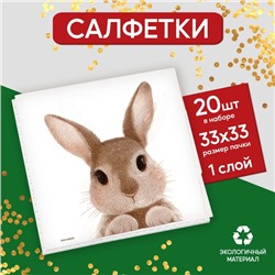 Салфетки бумажные однослойные «Кролик», 33 х 33 см, набор 20 штук