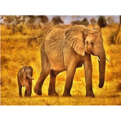 Алмазная мозаика картина стразами Слон со слонёнком, 40х50 см