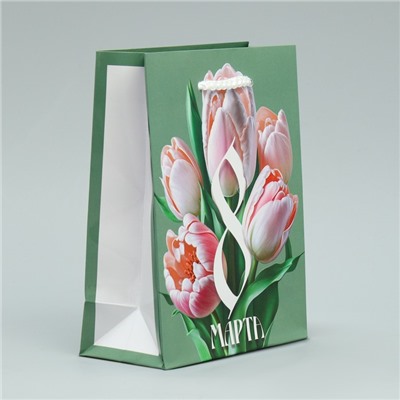 Пакет ламинированный «Тюльпаны», S 12 х 15 х 5.5 см
