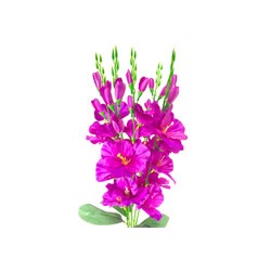 Букет искусственных цветов ирис фиолетовый 70 см 5 веток к29