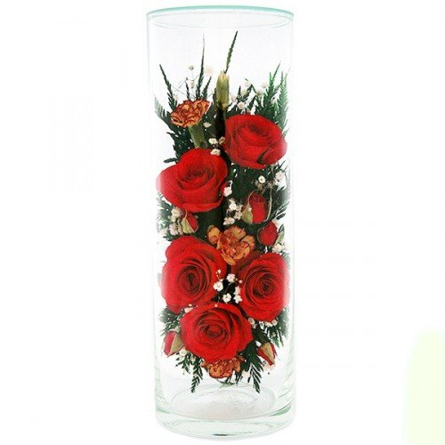 Розы и гвоздики в стекле CLR1 (Цветы в вакууме) купить, отзывы, фото,доставка - Камчатские Совместные Покупки