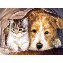 Алмазная мозаика картина стразами Котик с собакой под одеялом, 40х50 см