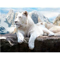 Алмазная мозаика картина стразами Белый лев, 30х40 см