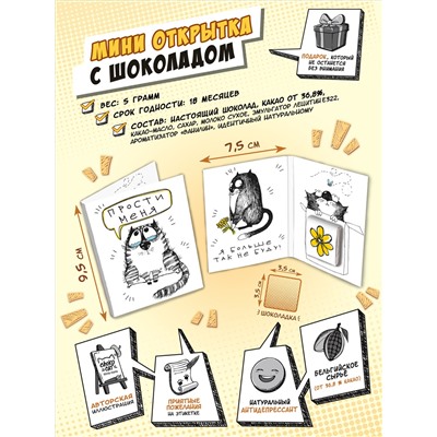 Мини открытка, ПРОСТИ МЕНЯ, молочный шоколад, 5 гр., TM Chokocat