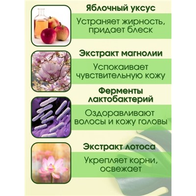 Шампунь для волос с пробиотиками и яблочным уксусом Masil 5 Probiotics Apple Vinegar Shampoo 300ml