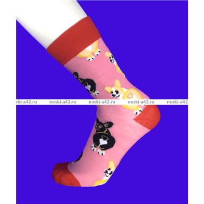 Nice Socks (AMIGOBS) ЦВЕТНЫЕ ВЫСОКИЕ НОСКИ на вешалке арт. 2208