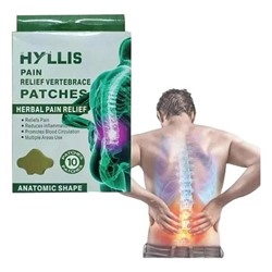 Пластырь обезболивающий для поясицы 10 шт Hyllis Pain Relief Neck Patches