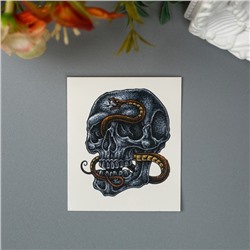 Татуировка на тело "Череп и змея"