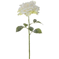 Чайная роза со снегом и блестками В02529