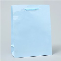 Пакет ламинированный «Голубой», MS 18 х 23 х 8 см