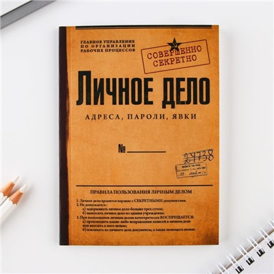 Ежедневник А6, 64 л. "Личное дело"