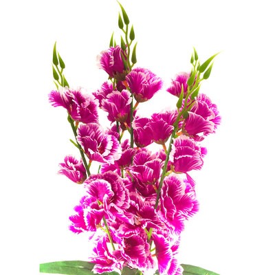 Букет искусственных цветов гладиолус сиреневый 70 см 5 веток к8